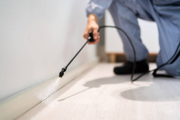 Licensed Wasp Removal service in The Hammocks, FL - Show Me Pest Control