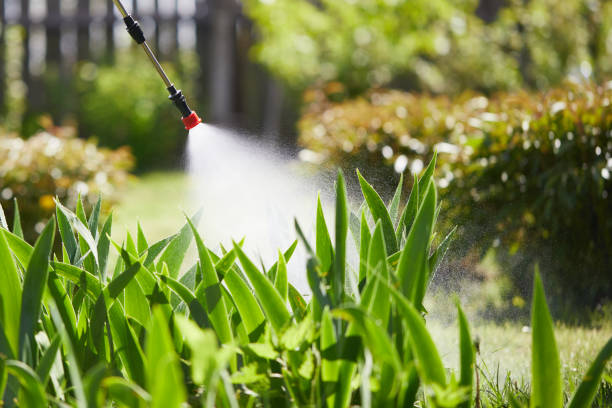 24/7 Emergency Wasp Removal experts in The Hammocks, FL